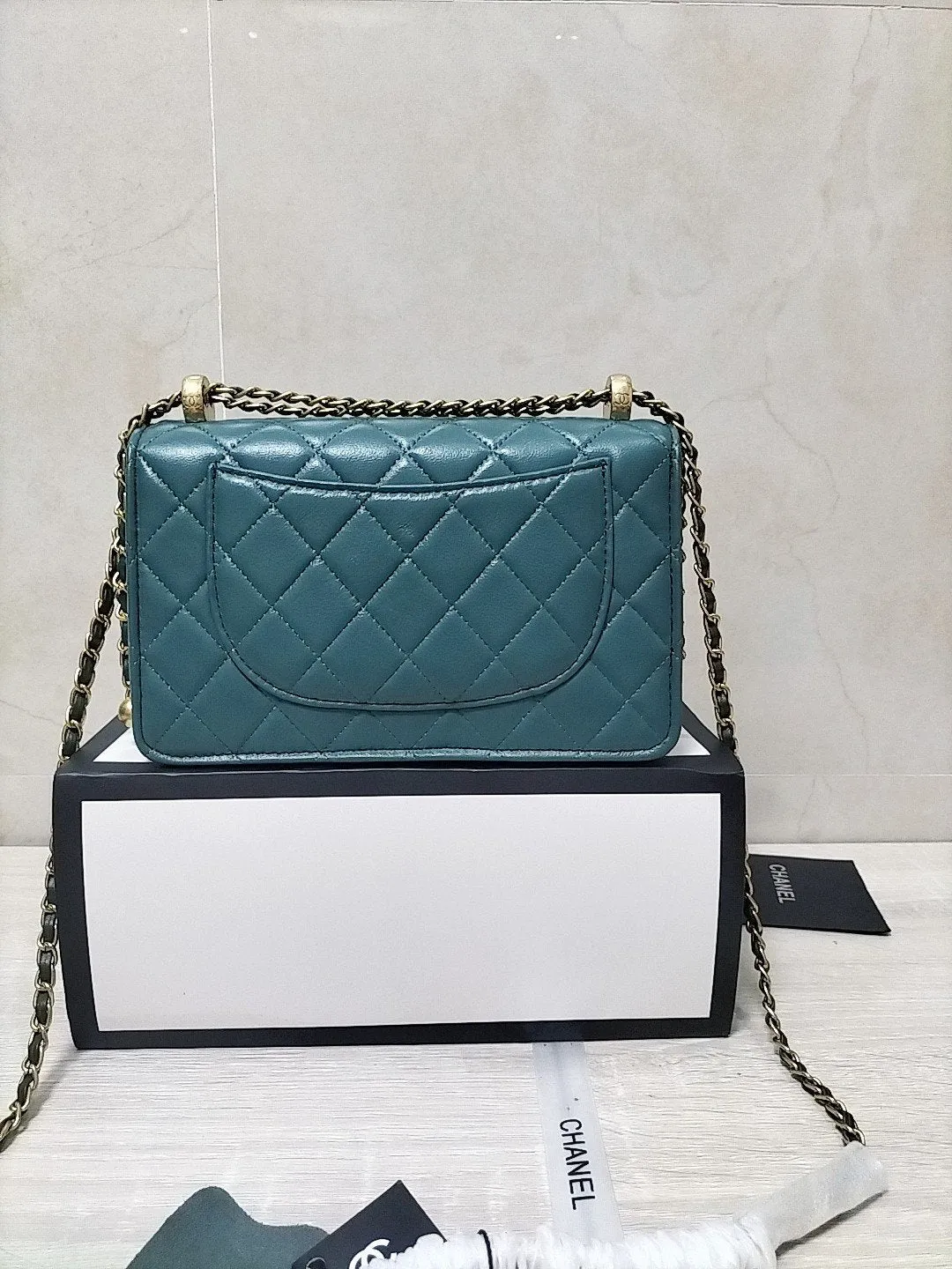 Designer Handbags CL 167